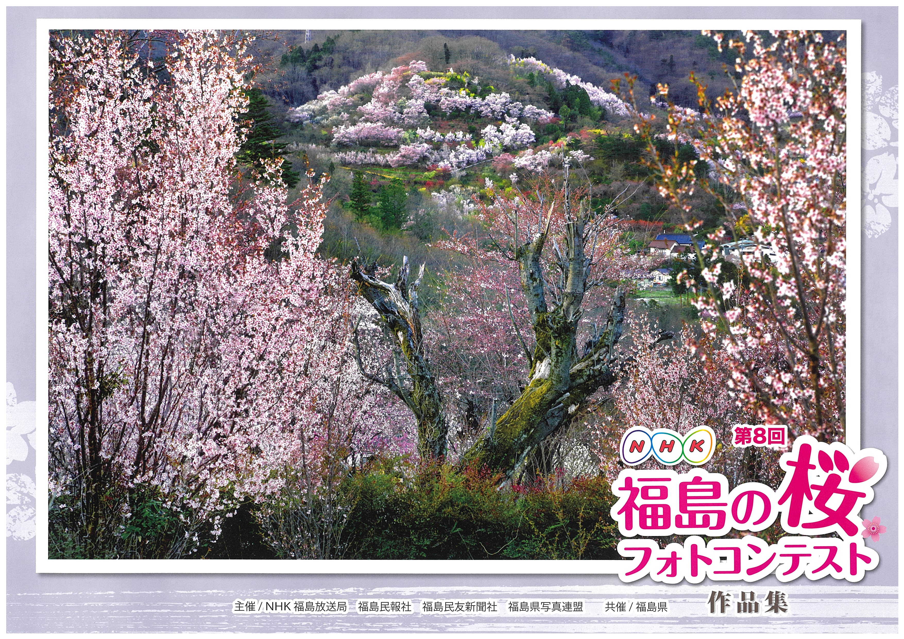 第8回 Nhk福島の桜フォトコンテスト 入選作品展示中 一般社団法人 南相馬観光協会